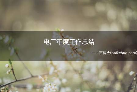 电厂年度工作总结（电厂年度工作总结怎么写）