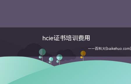 hcie证书培训费用（hcie证书培训费用为多少）