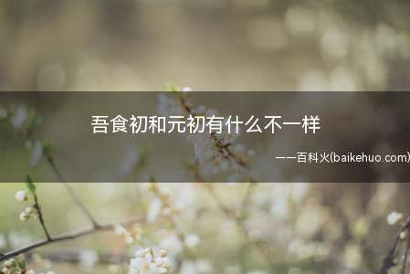 吾食初和元初有什么不一样