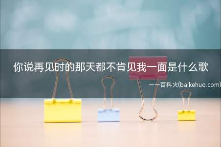 你说再见时的那天都不肯见我一面是什么歌