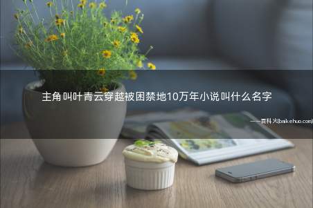 主角叫叶青云穿越被困禁地10万年小说叫什么名字