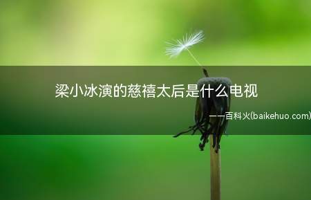 梁小冰演的慈禧太后是什么电视