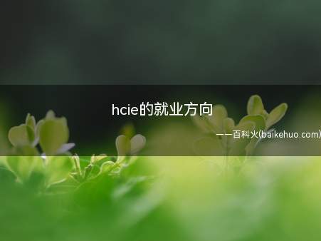 hcie的就业方向(hcie的就业方向有什么)