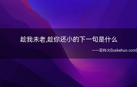 趁我未老,趁你还小的下一句是什么