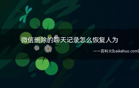 微信删除的聊天记录怎么恢复人为(微信删除的聊天记录怎么恢复 人为)