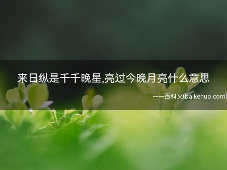 来日纵是千千晚星,亮过今晚月亮什么意思