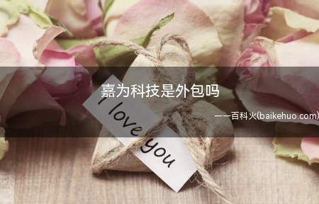 嘉为科技是外包吗不知道的小伙伴来看看小编今天的分享吧