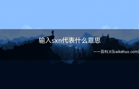 输入sxn代表什么意思