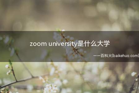 zoom university是什么大学