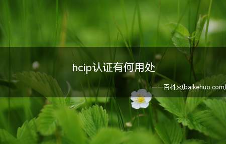 hcip认证有何用处