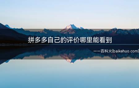 拼多多自己的评价哪里能看到