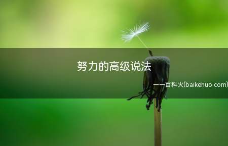 努力的高级说法（努力的高级说法有哪些）