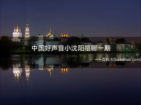 中国好声音小沈阳是哪一期