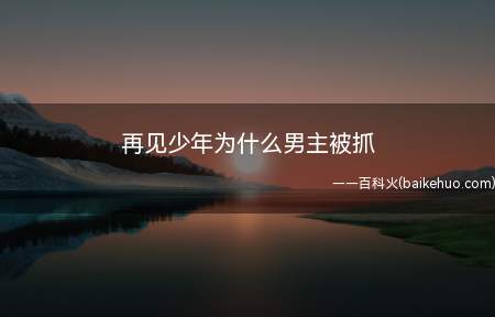再见少年为什么男主被抓(再见少年男主为什么被抓)