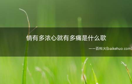 情有多浓心就有多痛是什么歌