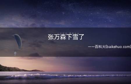 张万森下雪了是什么梗（张万森下雪了就是表达一个男孩对于暗恋女孩的感受）