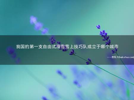 我国的第一支自由式滑雪雪上技巧队成立于哪个城市