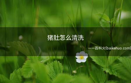 猪肚怎么清洗不知道的小伙伴来看看小编今天的分享吧!