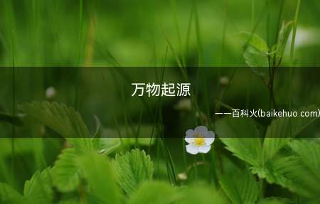 万物起源是什么梗(“万物起源”原本是国外的一本权威著作的名字)