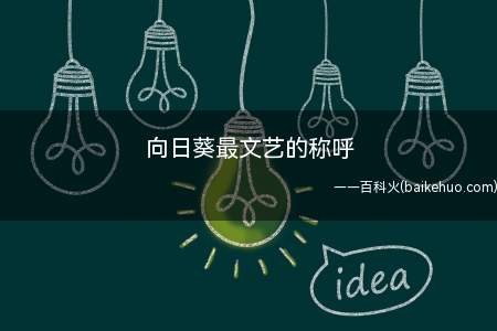 向日葵最文艺的称呼(向日葵最文艺的称呼是什么)