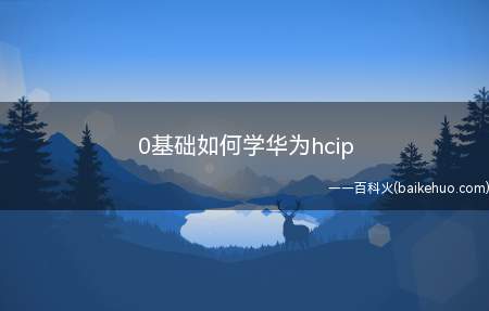 0基础如何学华为hcip