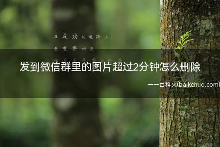 发到微信群里的图片超过2分钟怎么删除(发到微信群里的图片超过2分钟的删除方法)