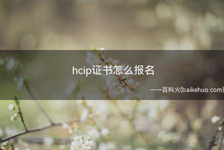 hcip证书怎么报名