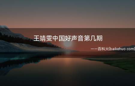 王靖雯中国好声音第几期(王靖雯参加了中国好声音第几期)