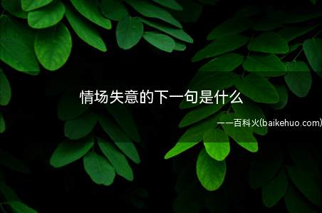 情场失意的下一句是什么