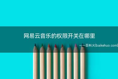 网易云音乐的权限开关在哪里