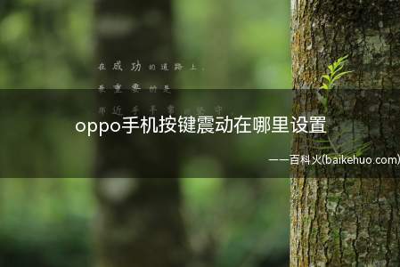 oppo手机按键震动在哪里设置(oppo手机设置按键震动共分为4步)