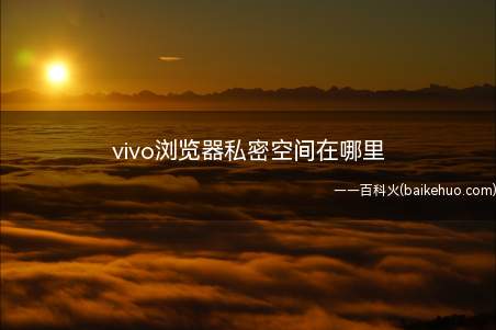 vivo浏览器私密空间在哪里(vivo浏览器私密空间)