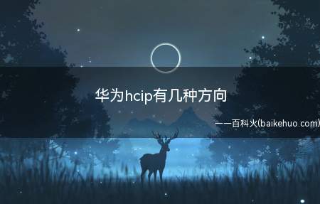 华为hcip有几种方向