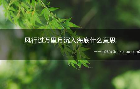 风行过万里月沉入海底什么意思