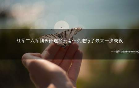 红军二六军团长征途经云南什么进行了最大一次战役