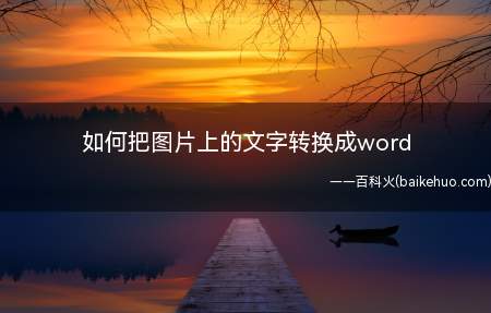 如何把图片上的文字转换成word(ASUS S340MC系统)