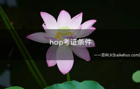 hcip考证条件(华为hcip教材有哪些考)