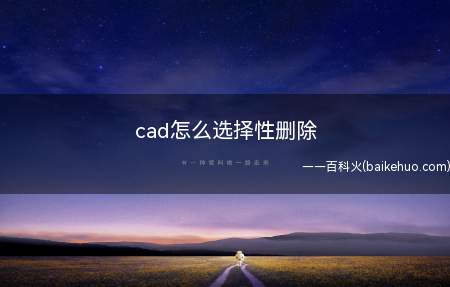 cad怎么选择性删除