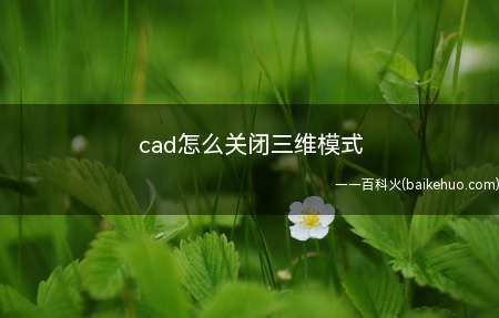 cad怎么关闭三维模式