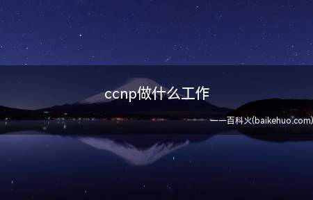 ccnp做什么工作
