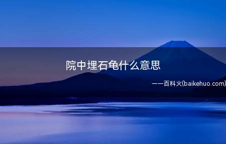 院中埋石龟什么意思(石龟在院中埋石龟什么意思)