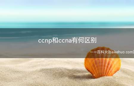 ccnp和ccna有何区别(思科认证和ccna有何区别)