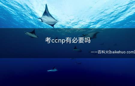 考ccnp有必要吗(ccnp可以从事什么工作)