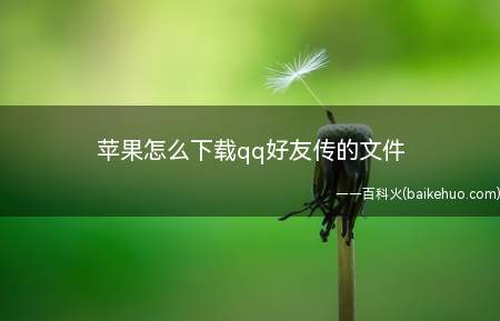 苹果怎么下载qq好友传的文件