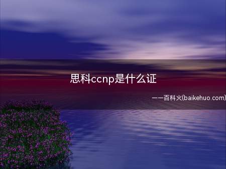 思科ccnp是什么证