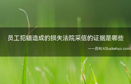 员工犯错造成的损失法院采信的证据是哪些