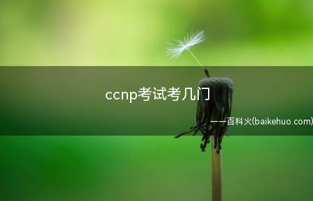 ccnp考试考几门(ccnp考试考几门可以自学吗)