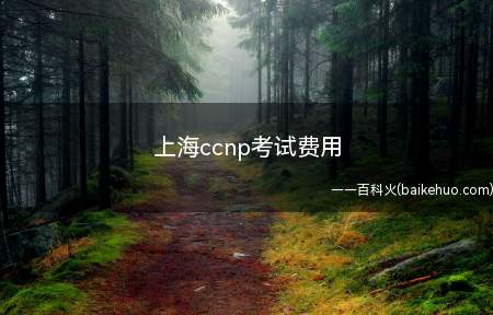 上海ccnp考试费用(上海ccnp考试费用要多少)