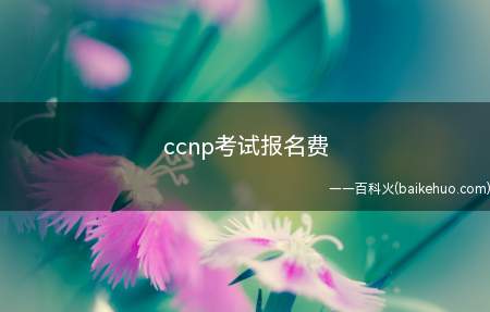 ccnp考试报名费(ccnp考试报名费为多少)