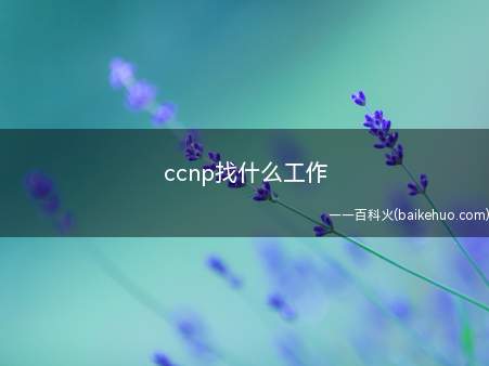 ccnp找什么工作(ccnp可以找什么工作)
